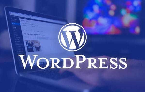 Wordpressエラーが表示されお困りの方、即修正・復旧作業行います