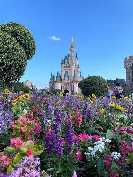 ディズニーの依頼・発注・代行ならランサーズ