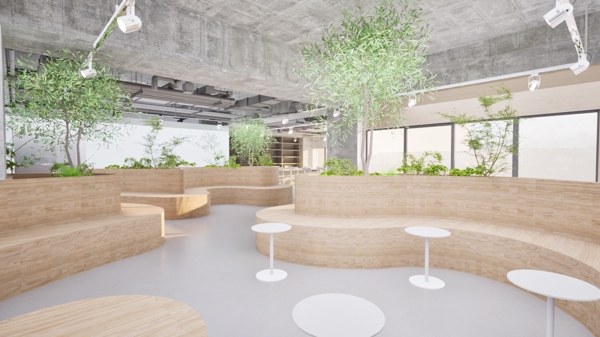 植物が引き立てるミニマルなオフィスや店舗をデザインします