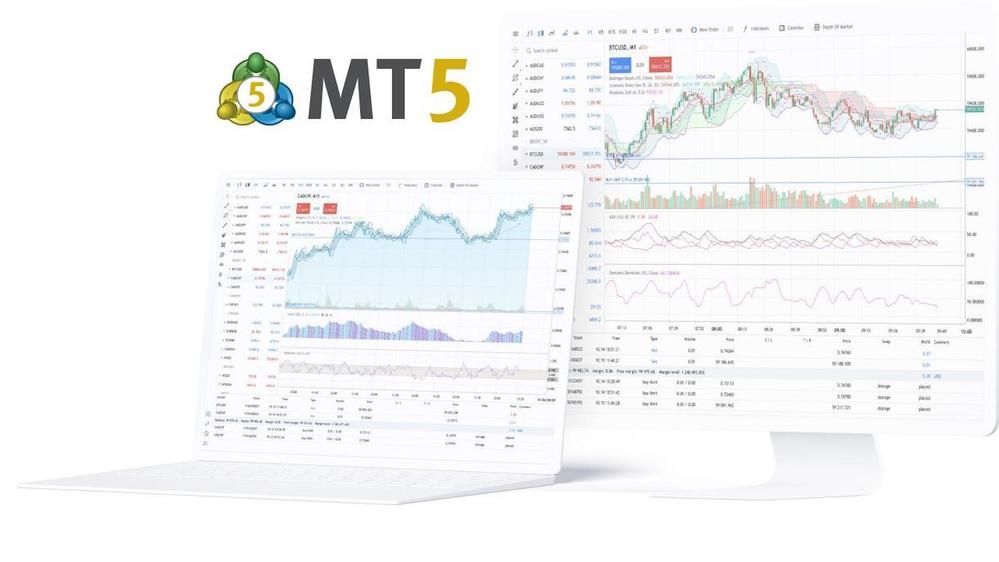 MT4/MT5関係のシステムを構築する。(CRM、管理システム、MAMMなど)ます