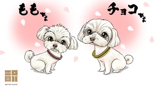 大事な愛犬ちゃんの可愛いデジタルイラストを制作いたします