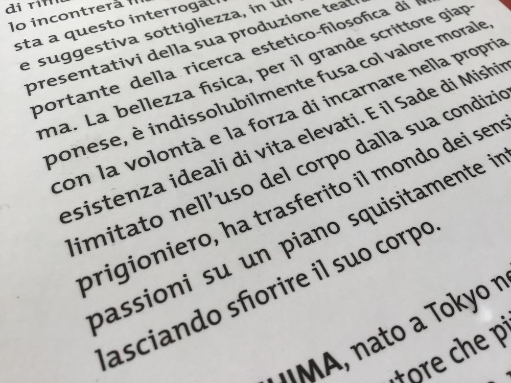 イタリア語文字起こし、イタリア語 ⇄ 日本語翻訳致します