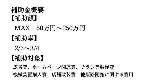 小規模事業者持続化補助金 事業計画書作成から全て申請を代行し

ます