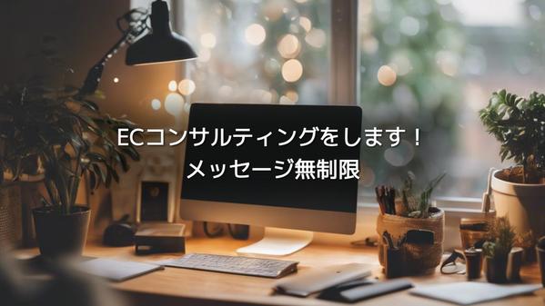 AmazonなどのECに関するコンサルティングをします