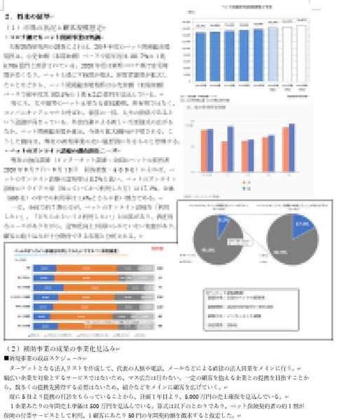 【高採択率＆短納期＆低価格】残り1枠∥補助金・助成金関係の事業計画書を作成します