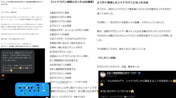 X（Twitter）のシャドウバン解除の資料提供とアドバイスを行います