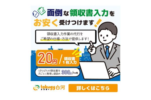 書類郵送可能！クラウド会計ソフトかExcelに入力します