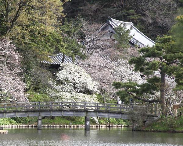 横浜の庭園・古民家でプロカメラマンがウェディング前撮り承ります