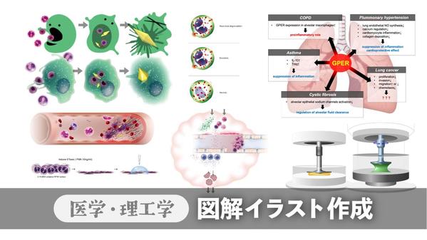 医学や理工学、科学系の研究発表に適した図解イラストを制作します