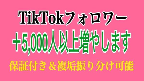 TikTokのフォロワーを＋5,000人以上宣伝拡散で増やします