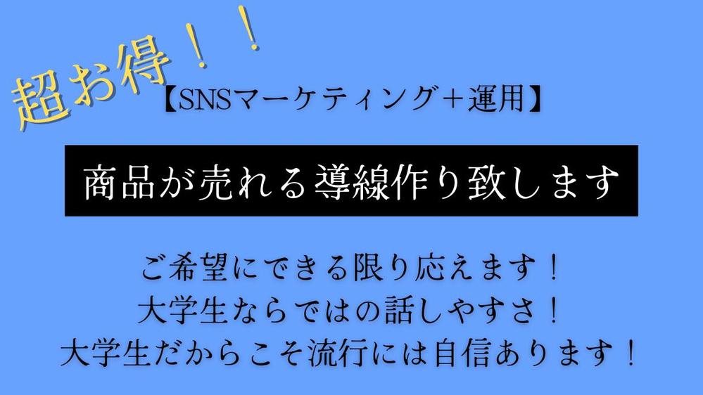 SNS運用による集客→LPでの商品販売を目的とした導線を作成し、運用致します