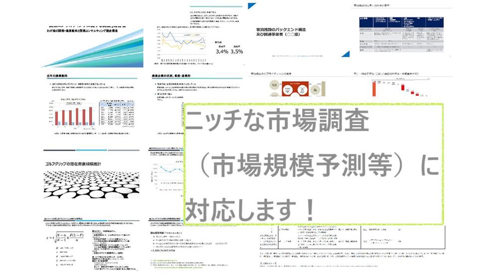 ニッチで情報情報が困難な分野の市場調査（市場規模予測等）に対応します