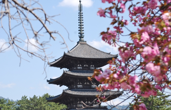 奈良市内の神社・寺院の紹介記事・コラムの作成をいたします