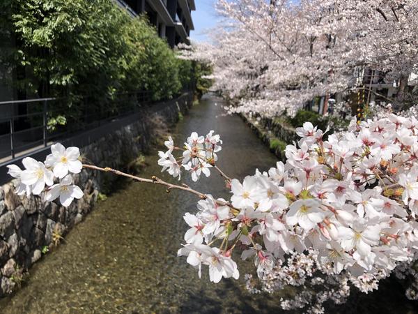 現役京大生が、私たちにまつわる幅広いトピックを「伝える」記事を作ります