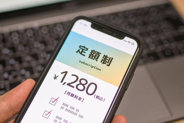 ワードプレスでサブスクリプションサービスが出来るネットショップを構築します
