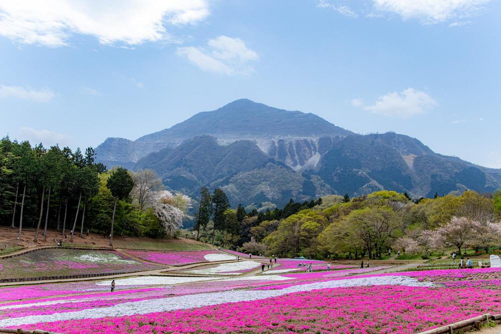 写真素材から公開まで、Webサイト制作お引き受けします