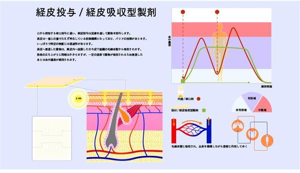 医療、美容、介助などで活用出来る、説明図・イメージイラストを作成いたします