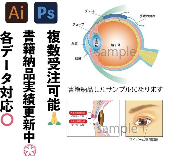 書籍納品、論文用イラスト等実績あり。複数受注更新中。ai納品できます。ます