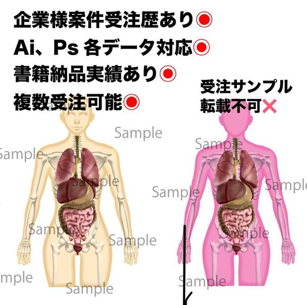 書籍納品、論文用イラスト等実績あり。複数受注更新中。ai納品できます。ます