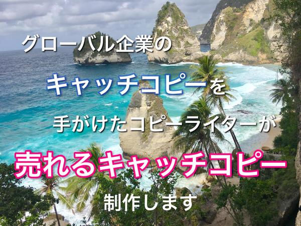 世界的企業のキャッチコピーを手掛けたコピーライターが制作します