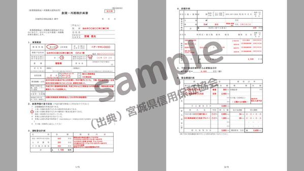 日本政策金融公庫や地銀・信金の創業融資の事業計画書作成をお手伝いします