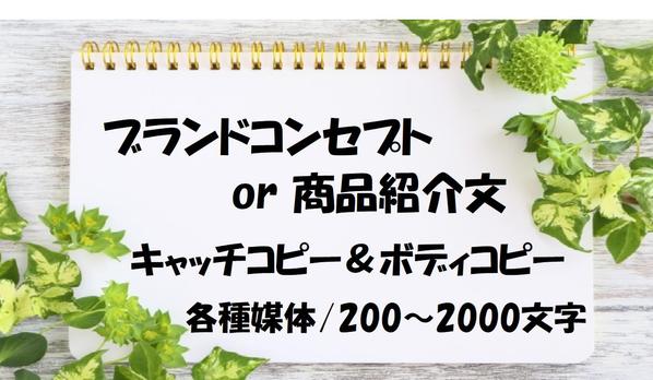 【カスタマイズ専用】キャッチコピー＆ボディコピー（Web/広告/パンフ等）承ります