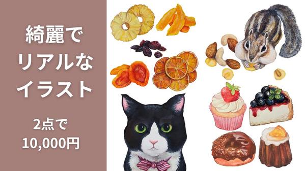 パッケージ・メニュー・本・フライヤーなどに。綺麗でリアルなイラストを作成します