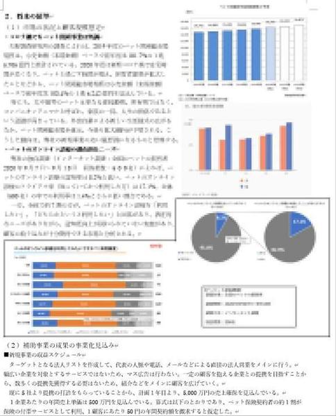 【高採択率＆短納期＆低価格】残り1枠∥補助金・助成金関係の事業計画書を作成します