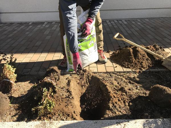 植木屋の経験豊富な東京都在住で、園芸、剪定、その他その仕事に付随する作業ができます