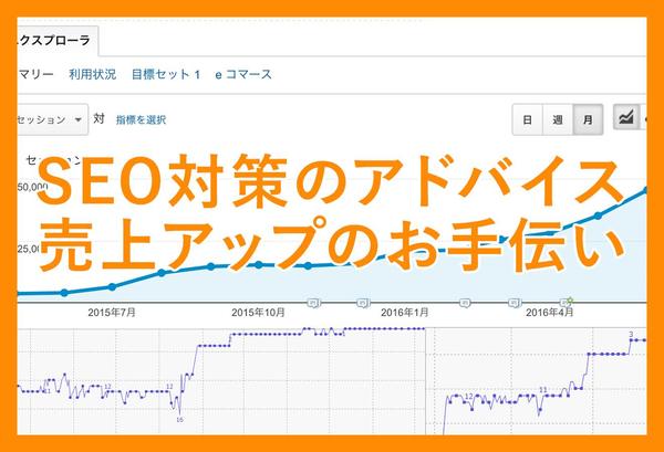  SEO対策コンサルティング（検索順位を上げて売上アクセスアップ）★初回限定価格ます