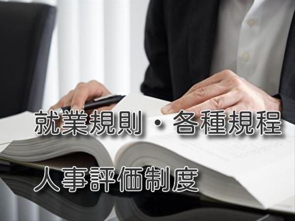 開業社会保険労務士がオリジナルの人事評価制度・賃金制度の構築・定着支援します