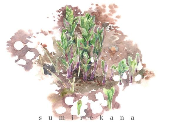 植物画制作。植物の細かく繊細な様子を絵の具の滲みを生かしながら美しく描きます