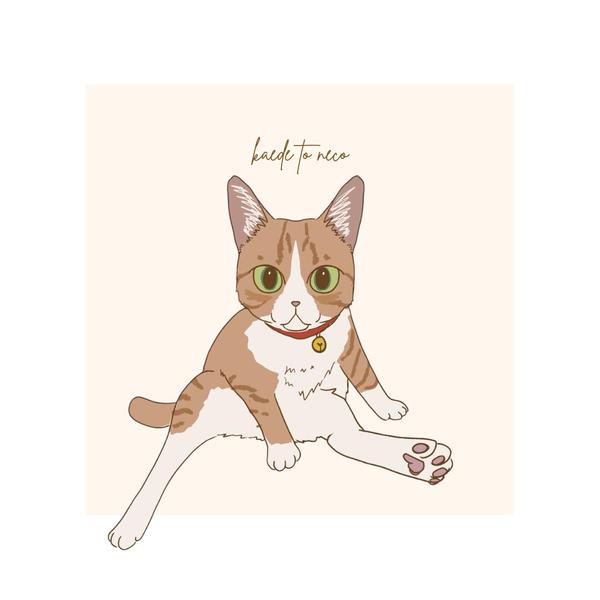 猫好きさんに一目置かれるパッケージイラストを制作します