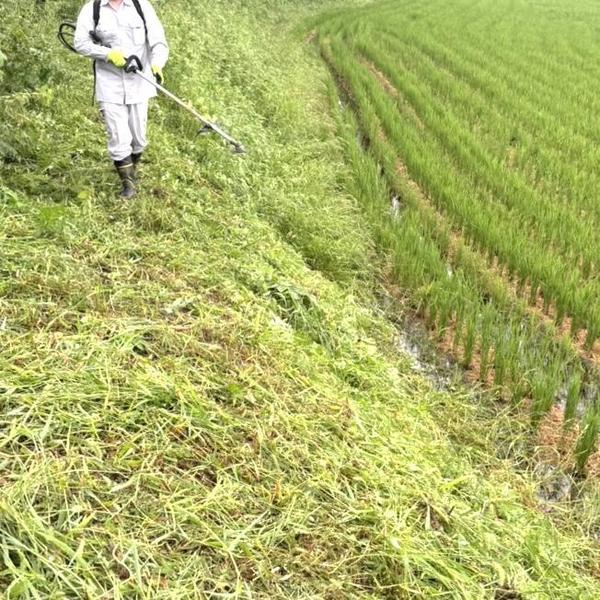 土地・田んぼ・土手等どのような広さでも10000円にて草刈り致します
