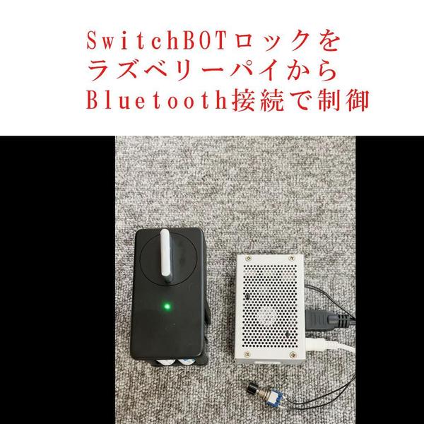 ラズパイ　開発（IOT、騒音計、Gosund、SwitchBot他）できます