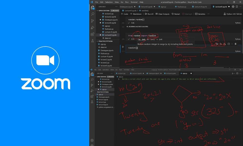 Pythonでカスタマイズプログラムを作成し...ます