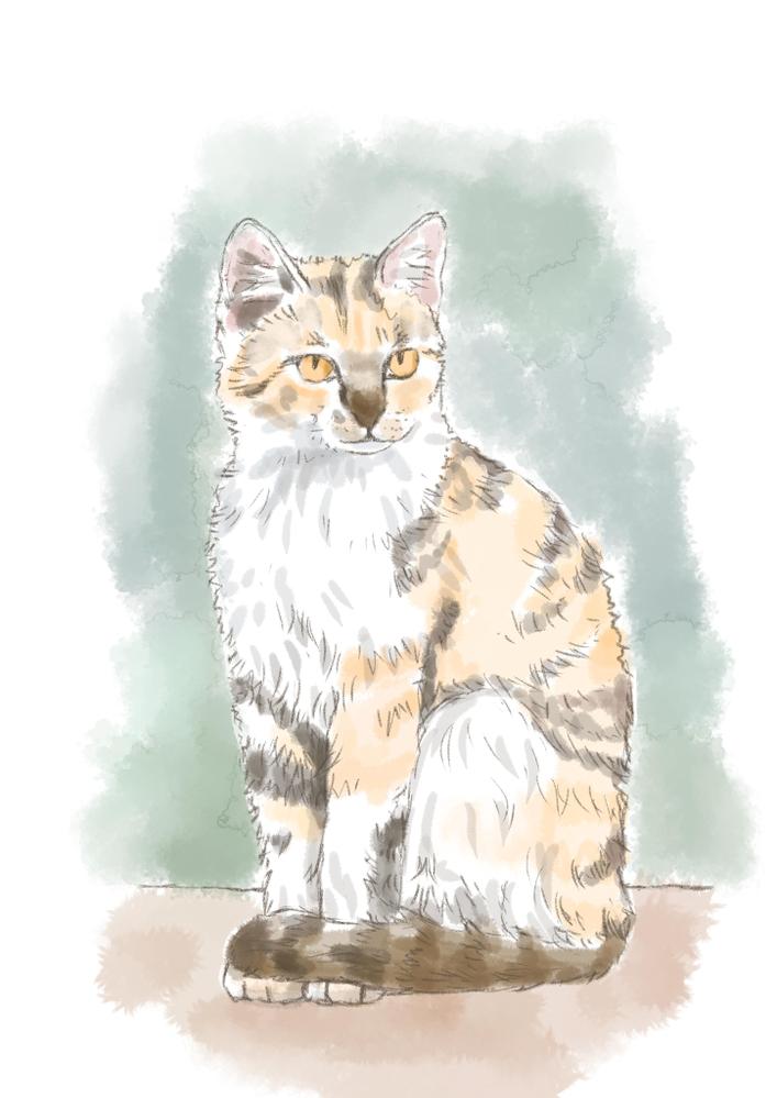 可愛いペットのイラストをデジタルなのに暖かくリアルに生き生きと描きます