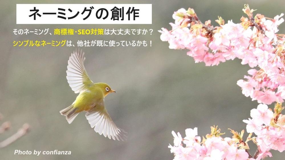 【品質第一】独創的なネーミング（造語）を考案いたし
ます