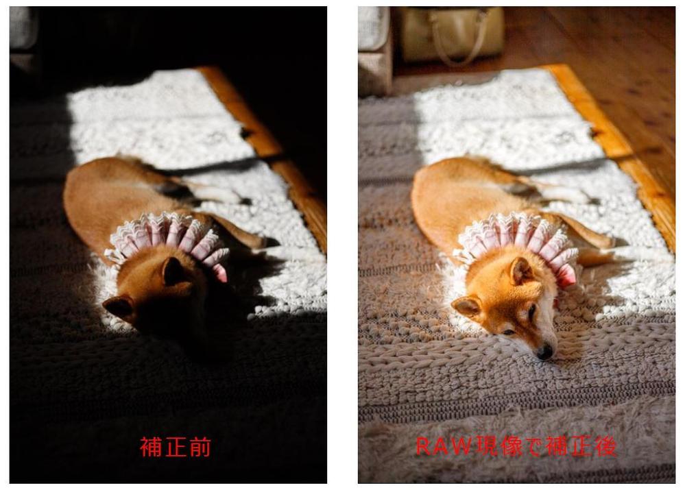失敗写真をあきらめない！RAW現像による補正加工！低価格で写真を生き返らせます