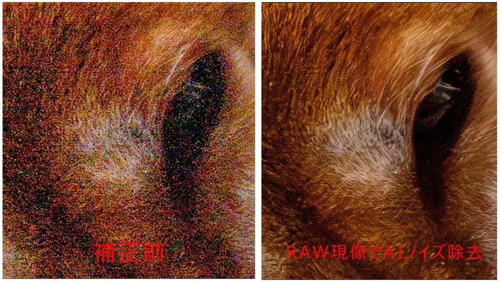 失敗写真をあきらめない！RAW現像による補正加工！低価格で写真を生き返らせます