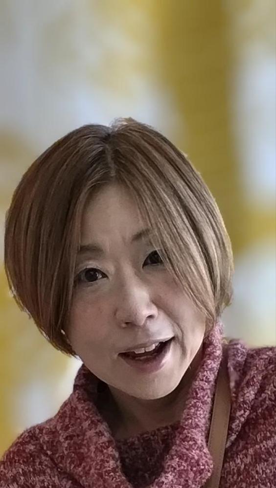 主に弥生会計ソフトを使って記帳代行
要望があれば弥生会計以外でも対応可能ます