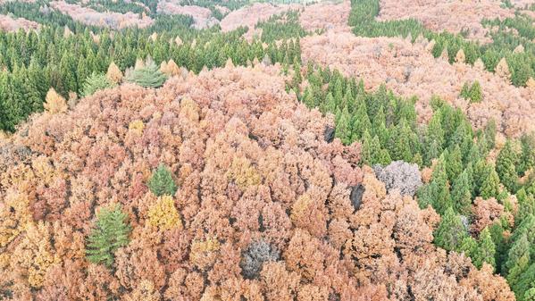 ドローン空撮による高品質な画像・動画素材を提供致します