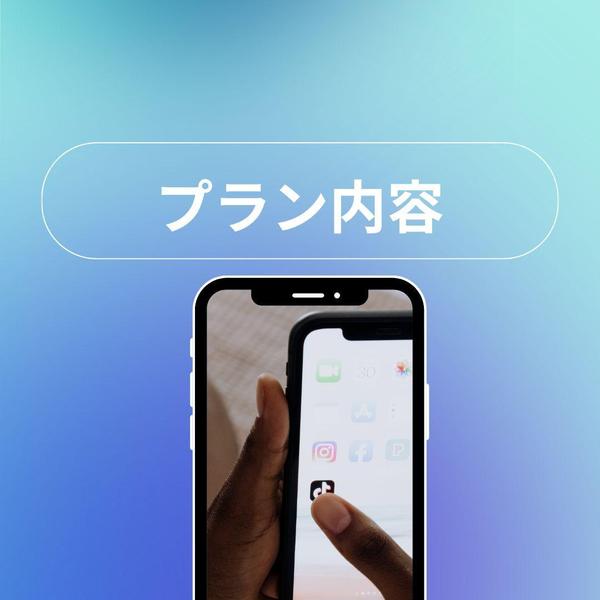 丸っとお任せ！Tik Tok運用代行のプランになります