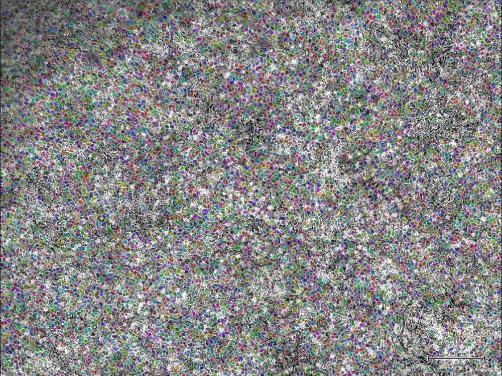 難易度の高い深層学習ＡＩメソッドを開発して実装をします