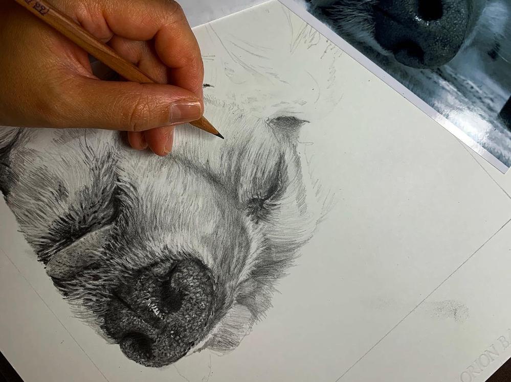 細密鉛筆画による肖像画(オーダー)を心を込めて描きます