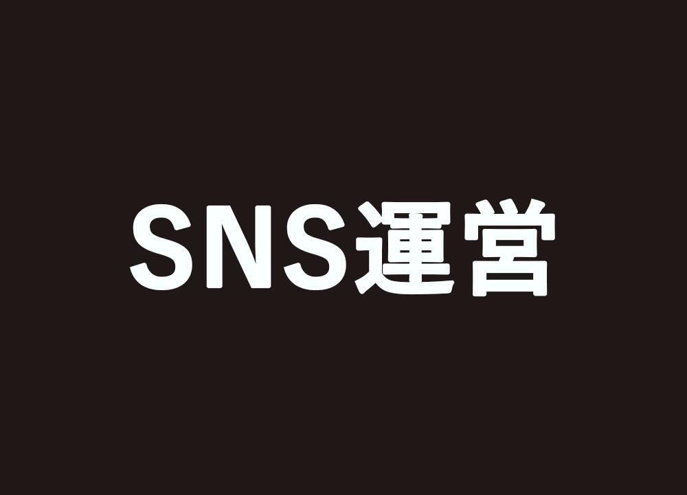 【中国語、英語対応可】Facebook、InstagramのSNS運用を代行します