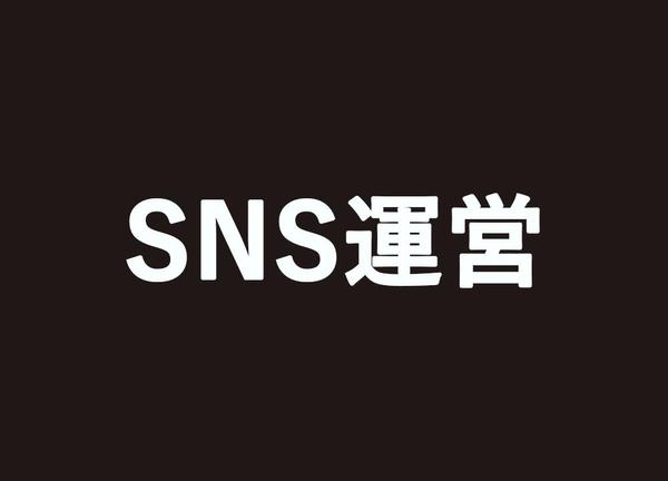 【中国語、英語対応可】Facebook、InstagramのSNS運用を代行します