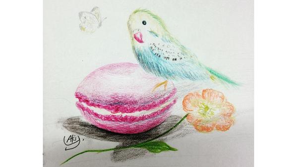 デジタルとアナログの画材を使ってメニューブックをデザインします
