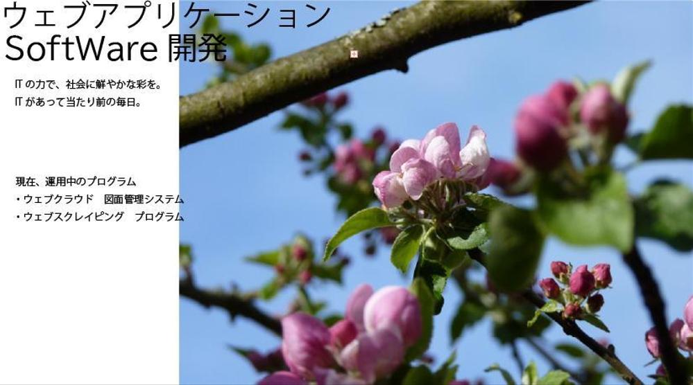 PHP MySql などで、ウェブアプリケーション製作および運用を行います