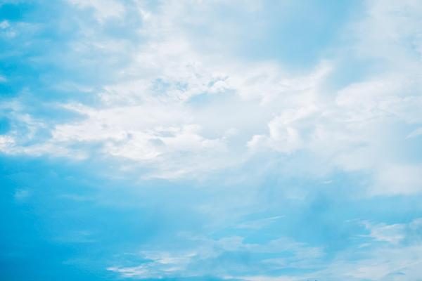 WordPressでのホームページ構築やメンテナンス承ります